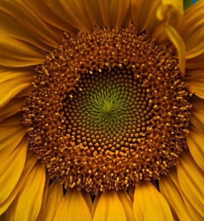 How To Use Your Colors