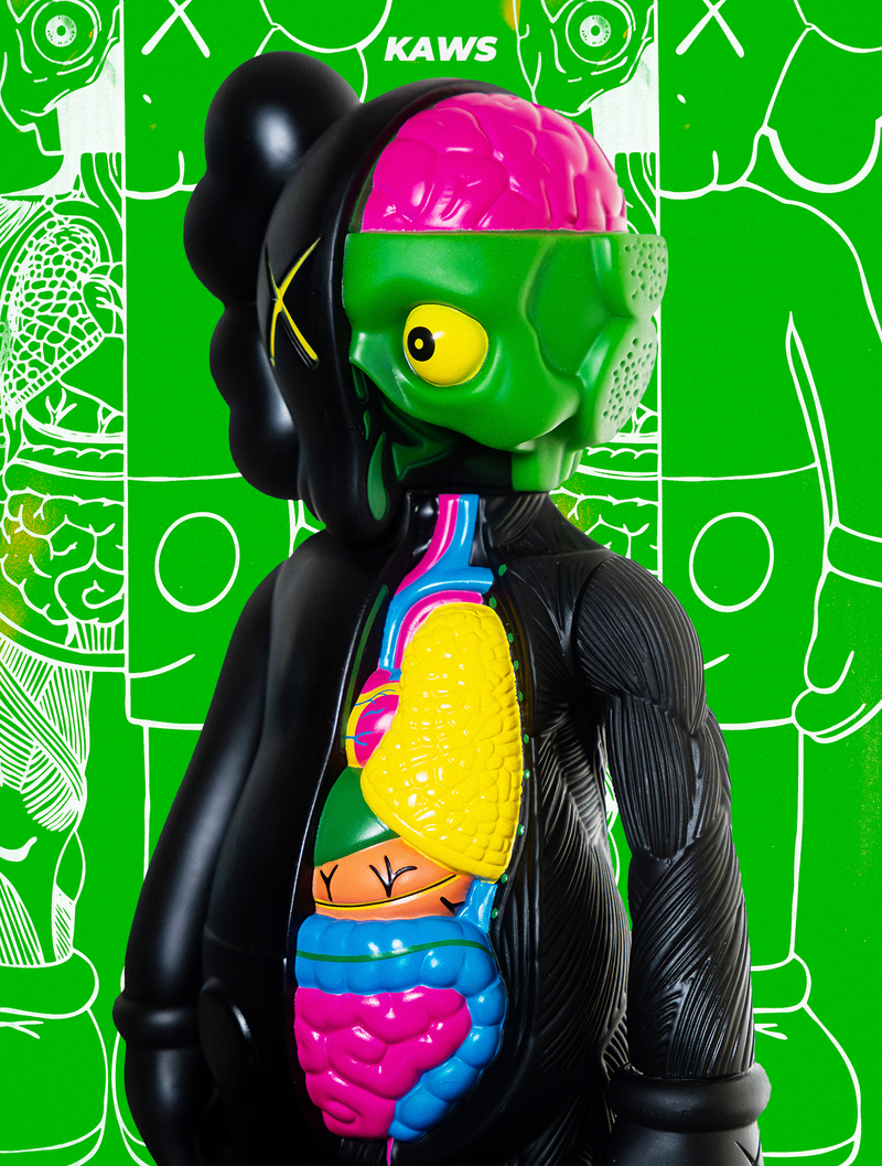 KAWS Dissected