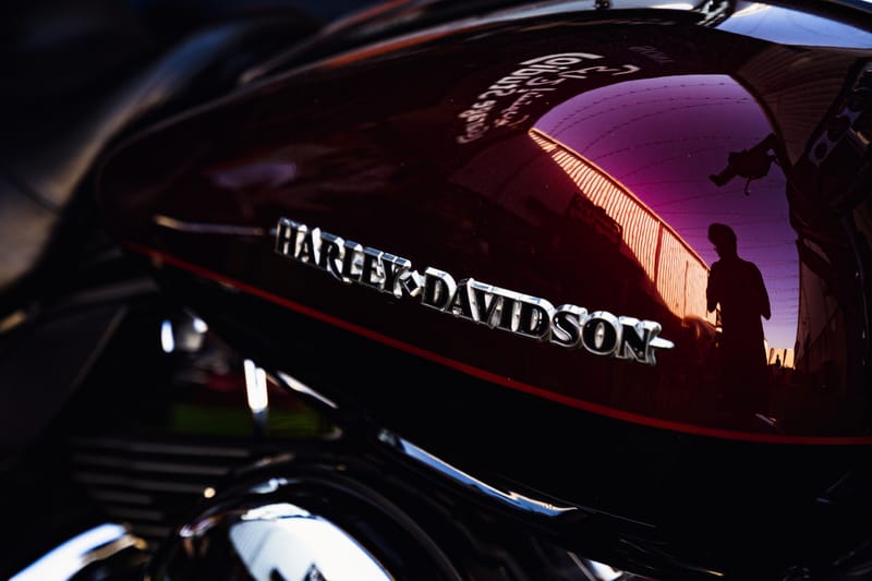 Sony Alpha Festival 2022