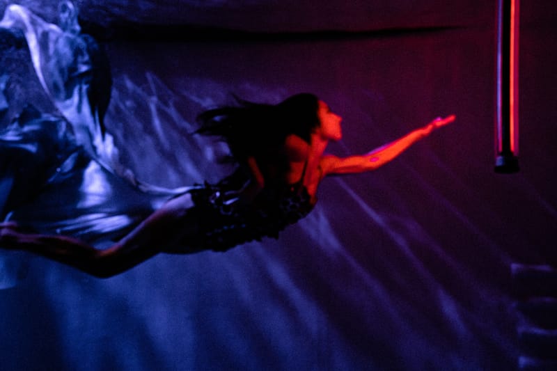 Sony Alpha Festival 2022