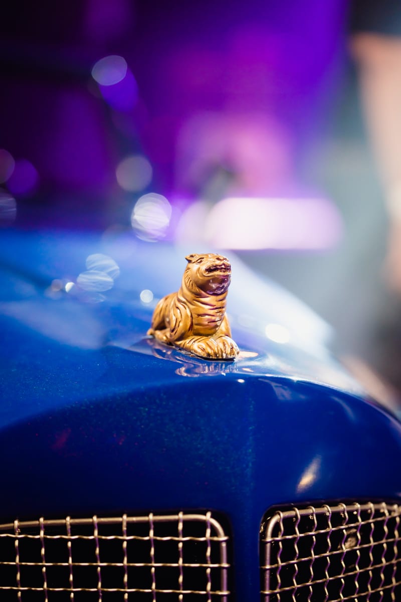 Sony Alpha Festival 2022