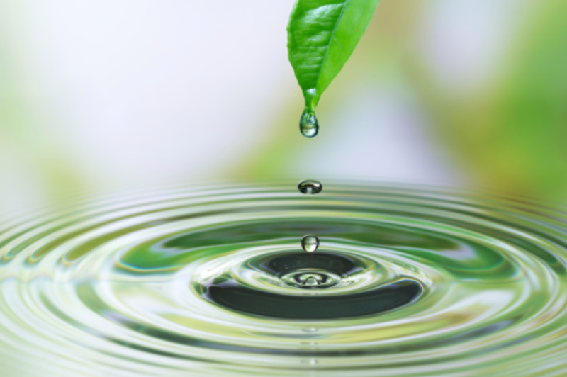 Individual counselling