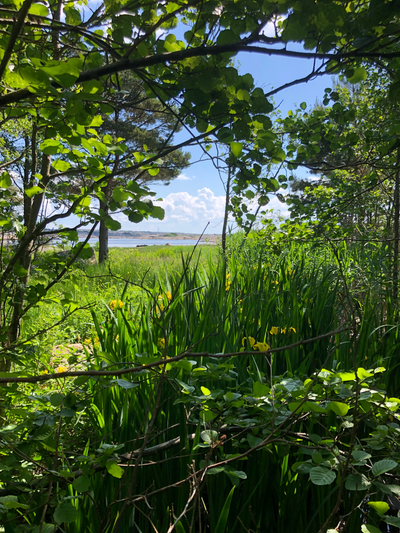 Forberedelser til sommerferien: Tips for å unngå konflikter