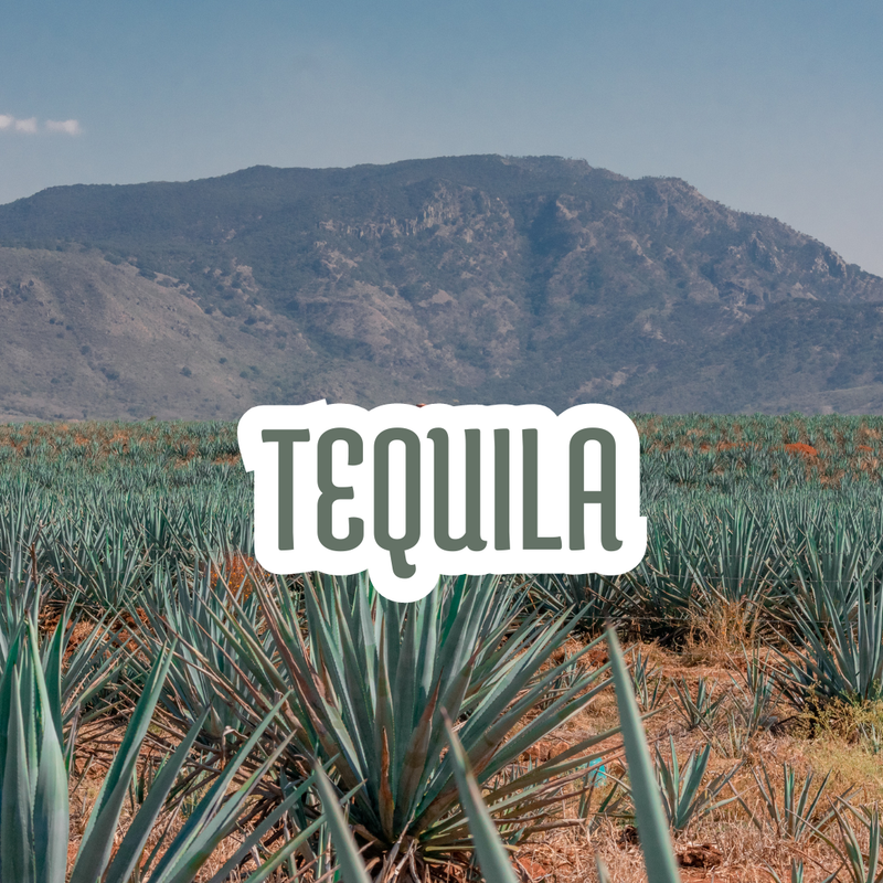 TEQUILA JALISCO