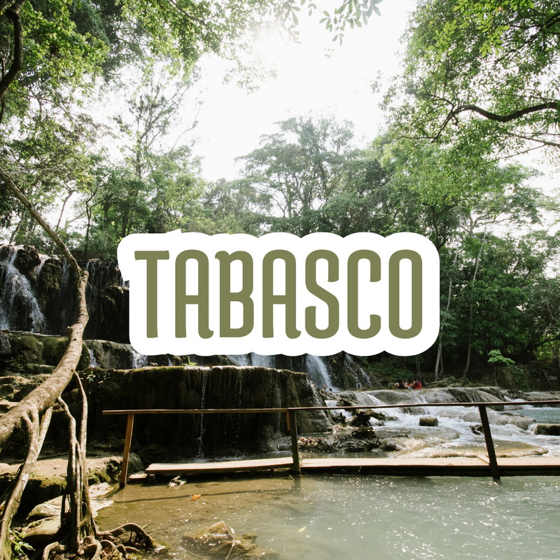 TABASCO