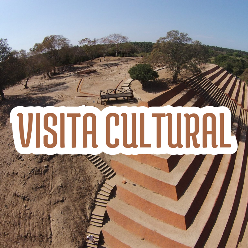 VISITA CULTURAL