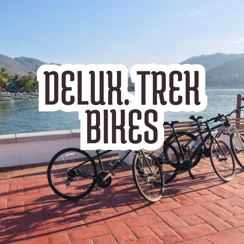 DELUX. TREK BIKES