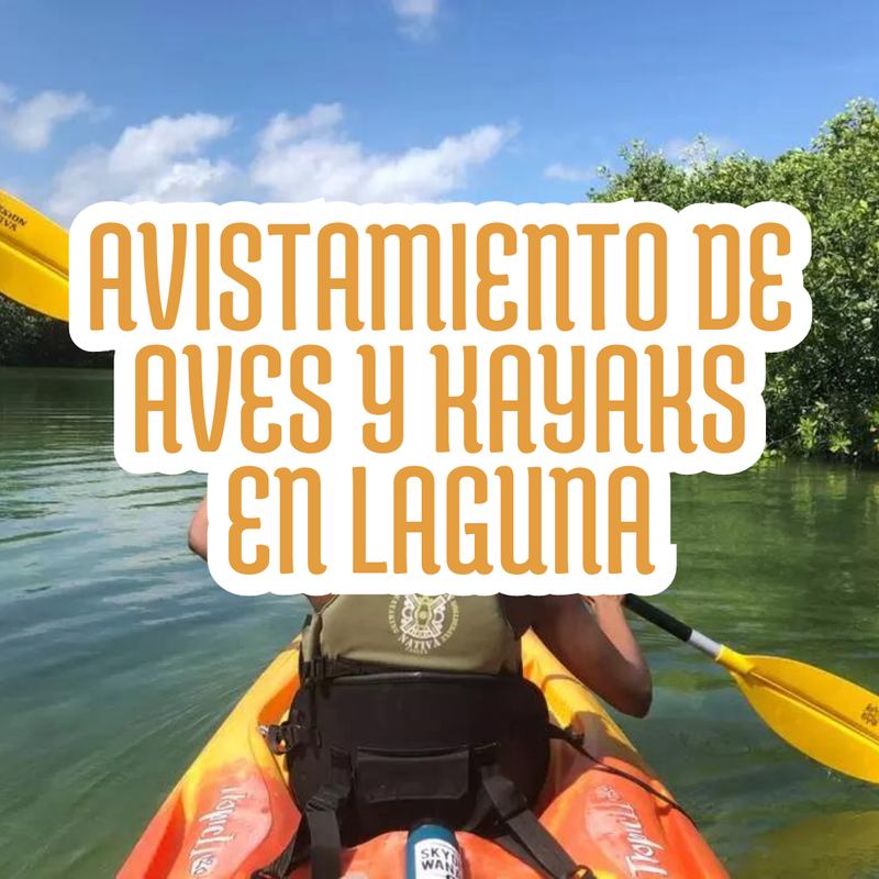 AVISTAMIENTO DE AVES Y KAYAKS EN LAGUNA