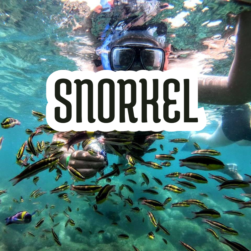 SNORKEL