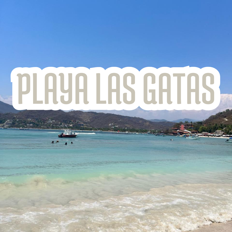 PLAYA LAS GATAS