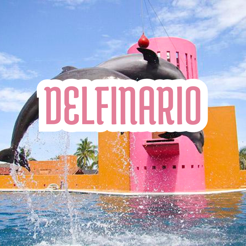 DELFINITI IXTAPA