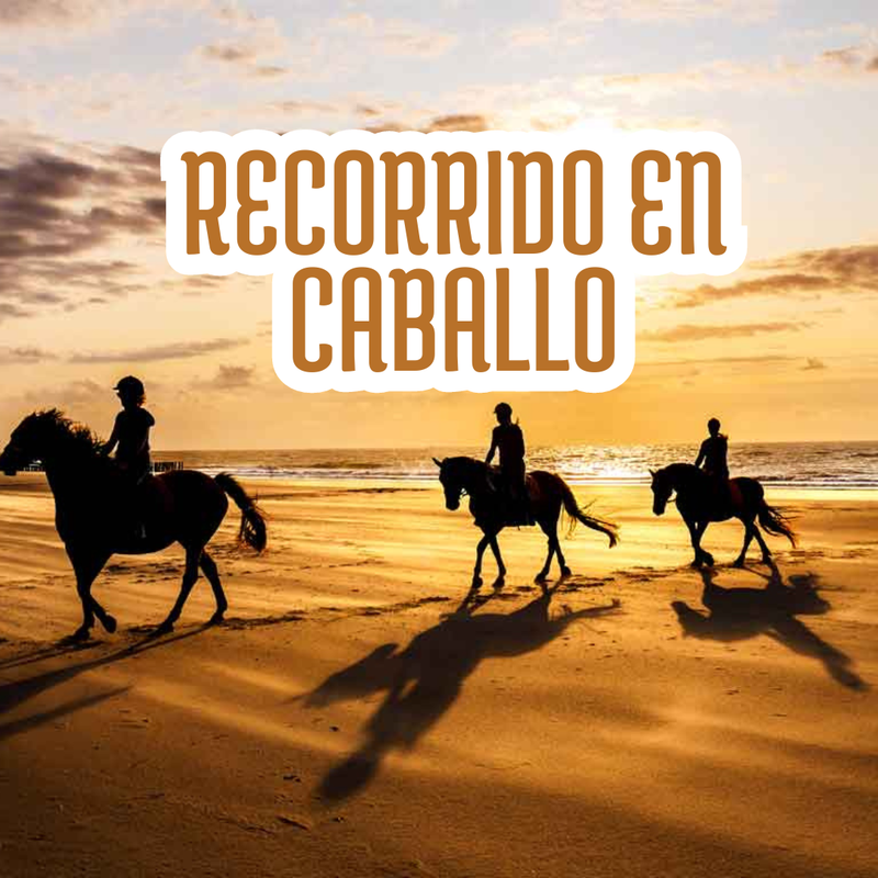 RECORRIDO EN CABALLO