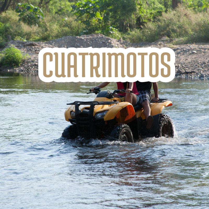 ATVS – CUATRIMOTOS