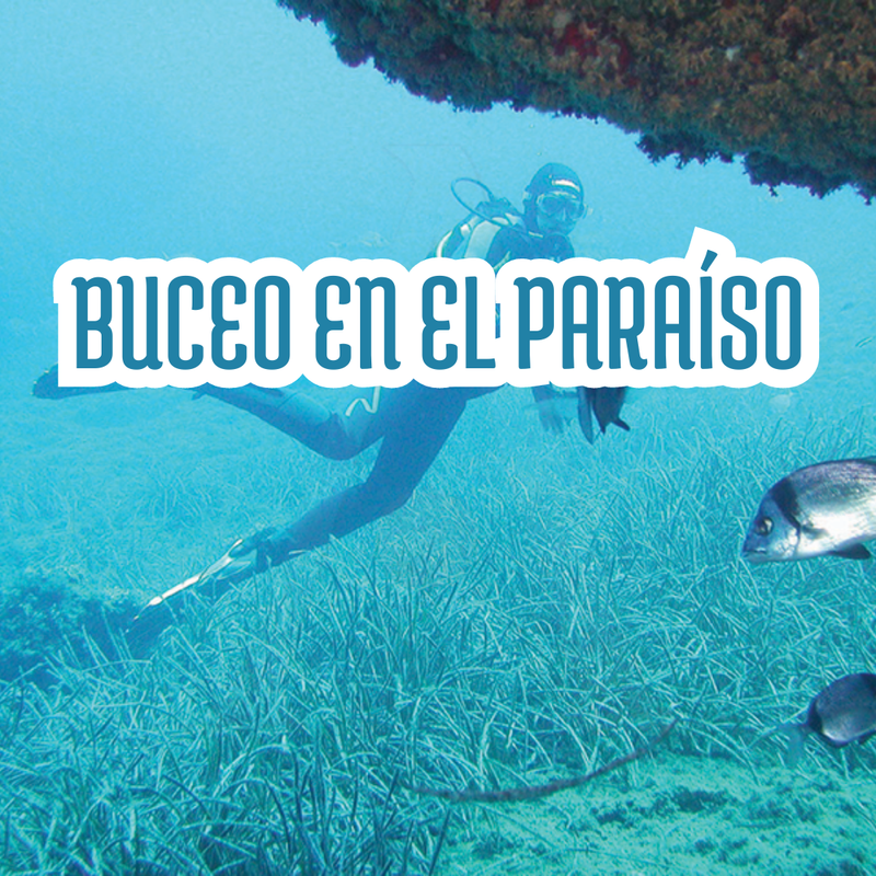 BUCEO EN LE PARAÍSO