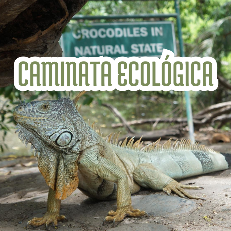 CAMINATA ECOLÓGICA