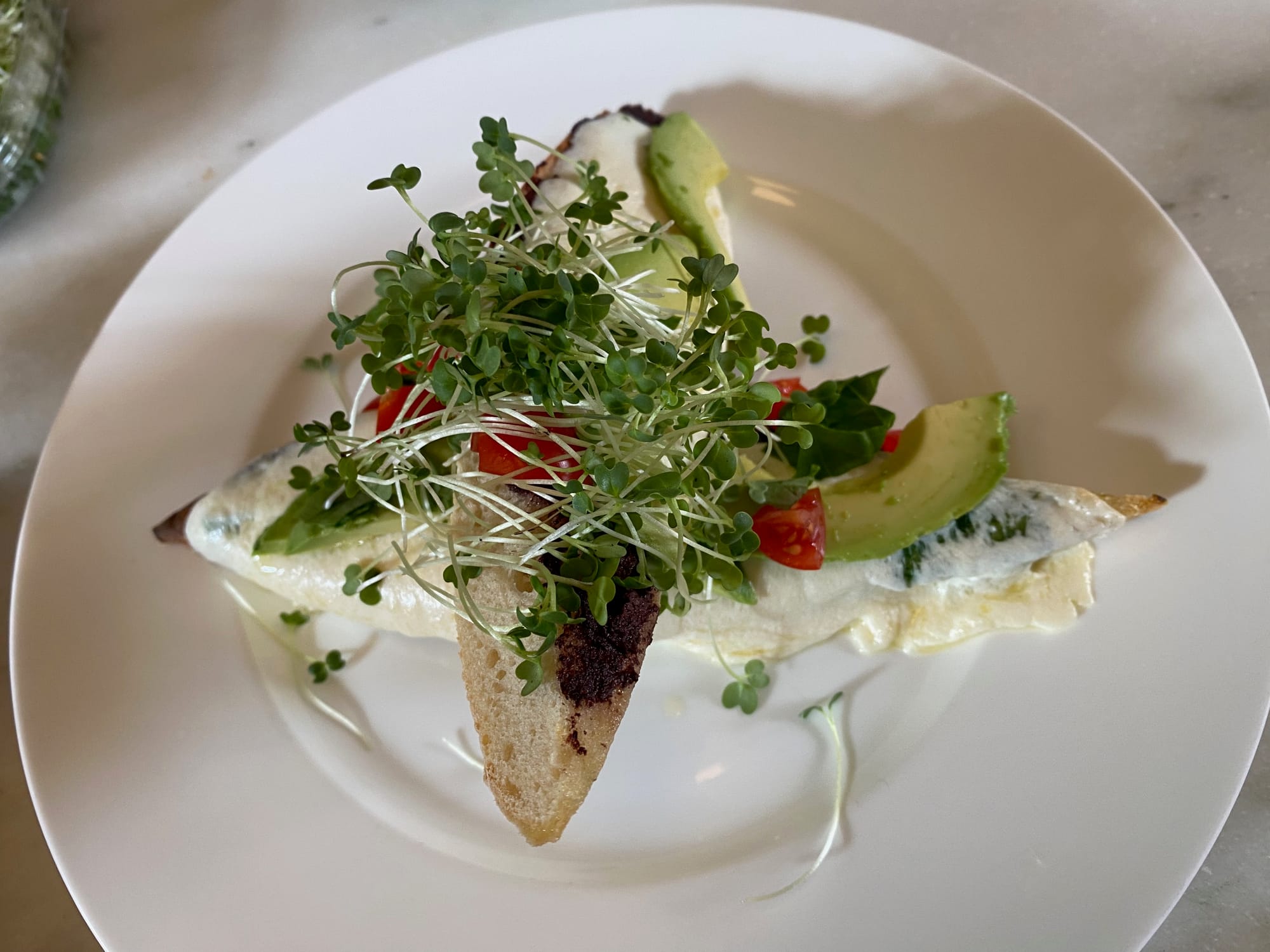 Pesto Olive Moz Cheese Toasts with Avocado and Spicy Radish Sprouts