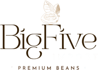 BigFive Import