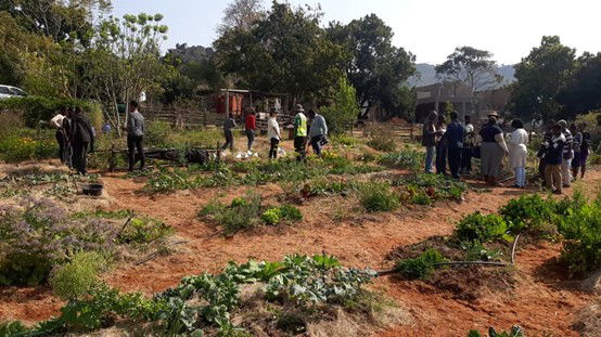 Improved economic livelihood through strengthening of waste management practice at Lobamba (Buka and Khula)