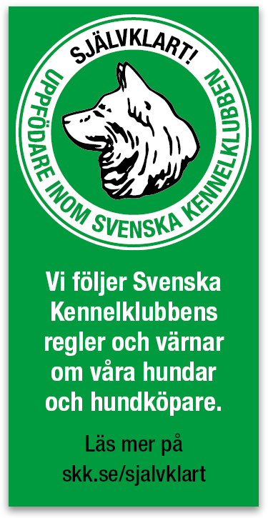 Att köpa valp hos oss