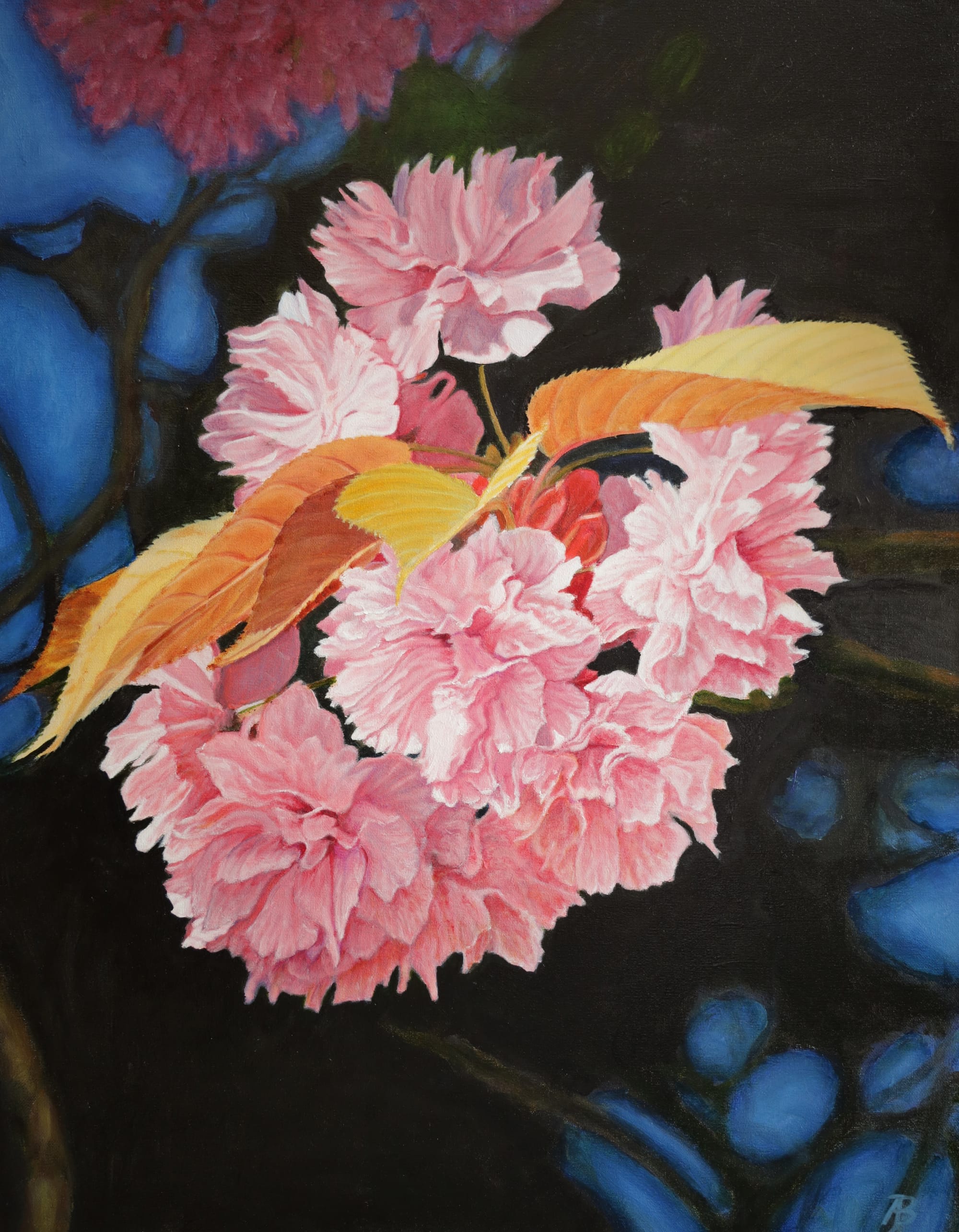 Cherry Blossom