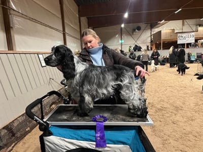 20.01.24 Utstilling Sverige, Karlskoga