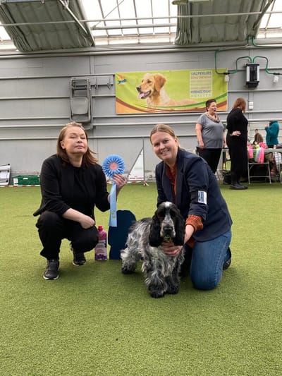 24.02.24 Utstilling Drammen Hundepark