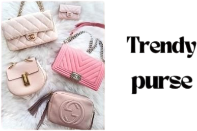 Trendy Purse