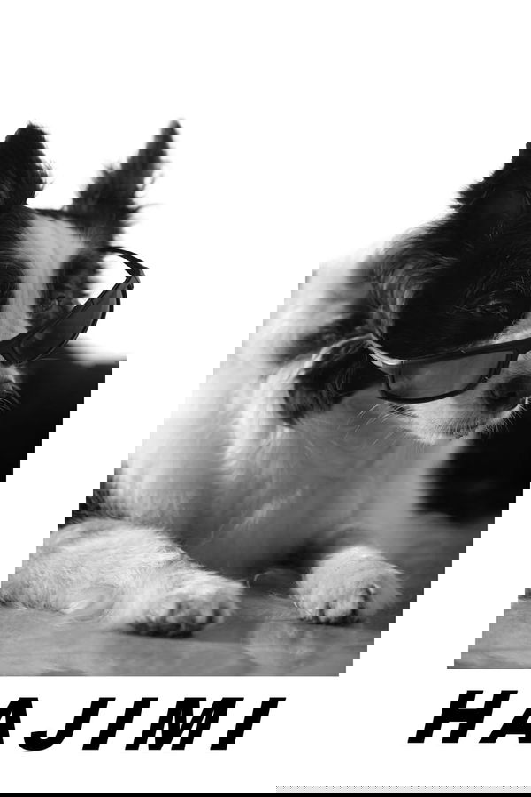 Dogs