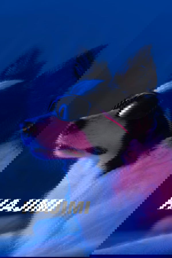 Dogs