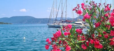 תוכנית הריטריט