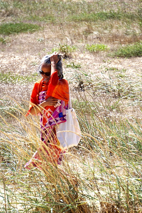 Ladies and Gentlemen