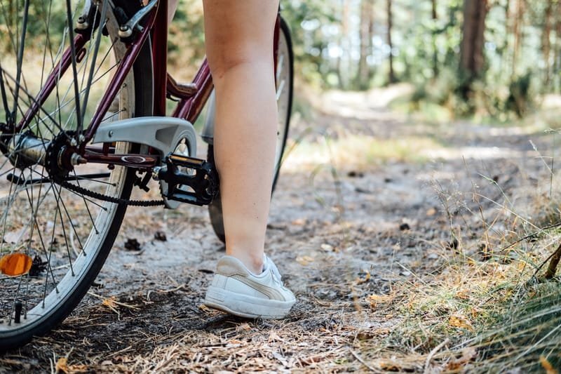 A pied ou à Vélo sur la ViaRhôna