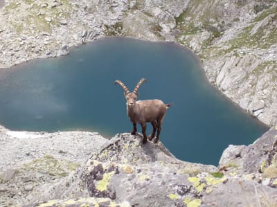 chi siamo image
