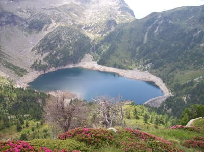 Storia e territorio image