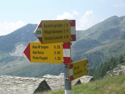 cosa fare image