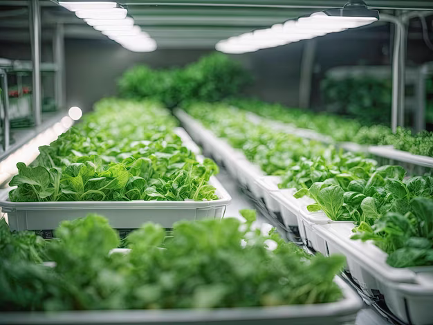 Conteneur de légumes, de feuilles et d'herbes