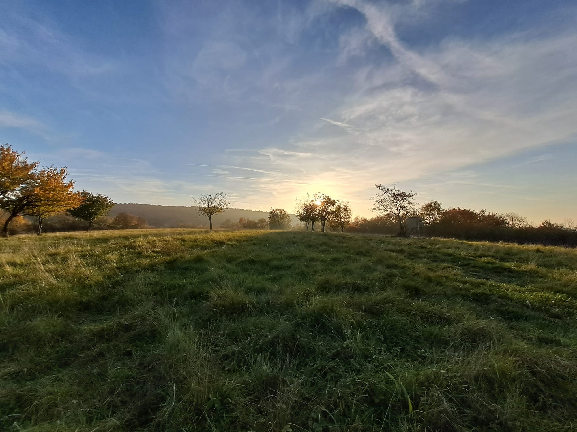 Kirándulás Városlőd határában