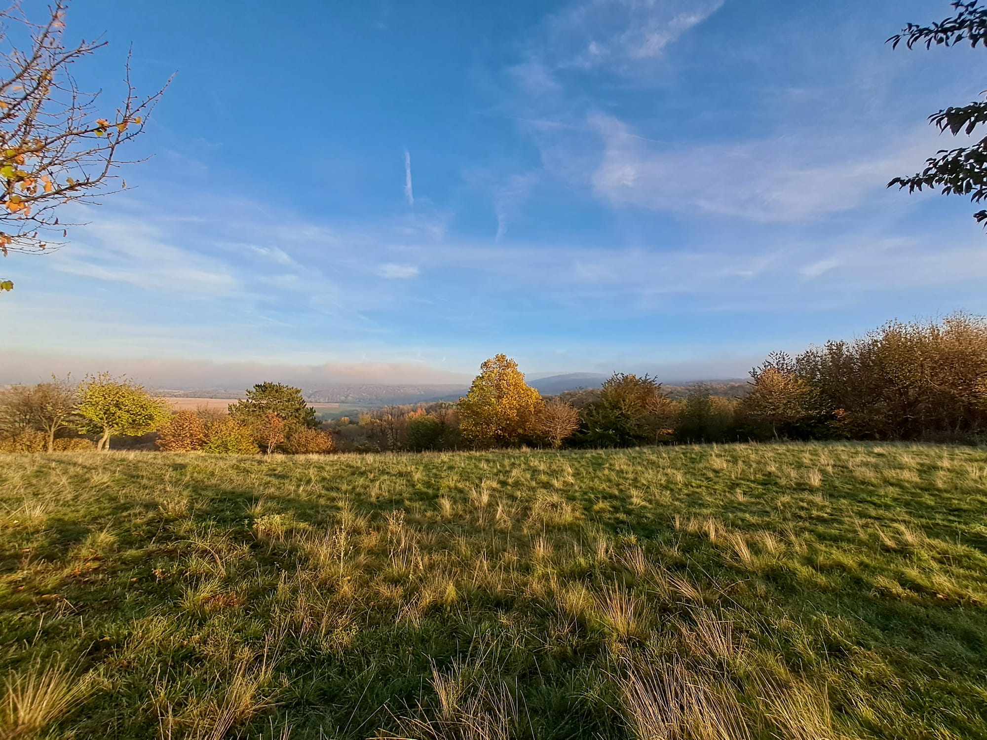 Kirándulás Városlőd határában