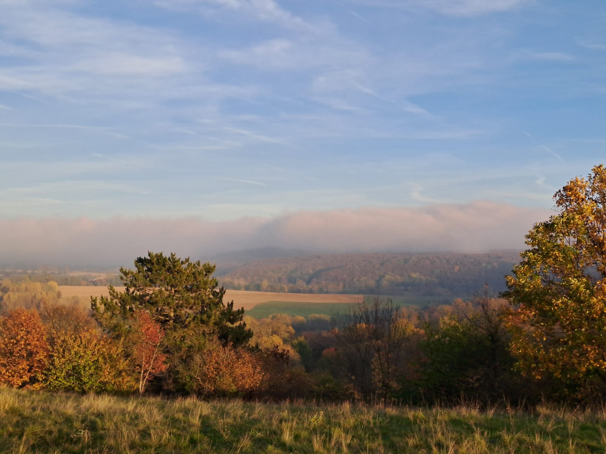Kirándulás Városlőd határában
