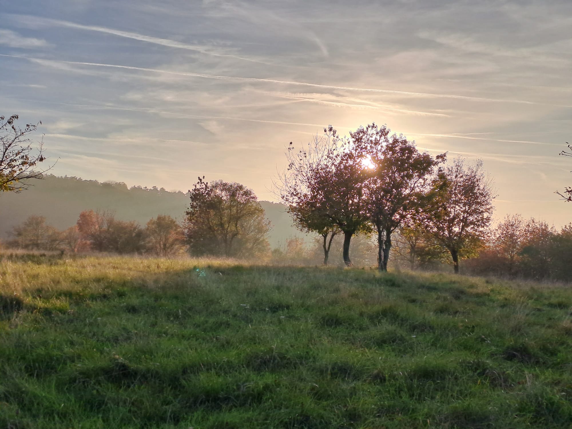 Kirándulás Városlőd határában