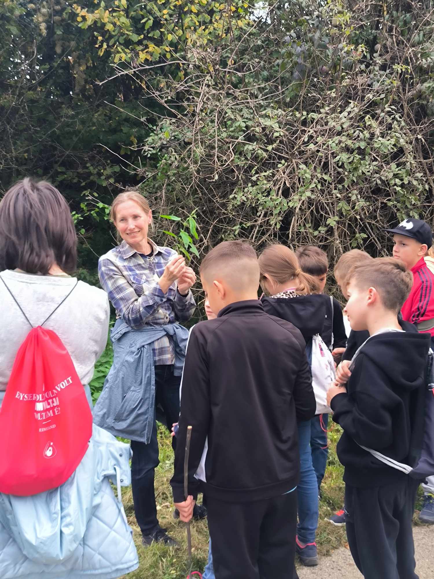 Játékos természetismeret