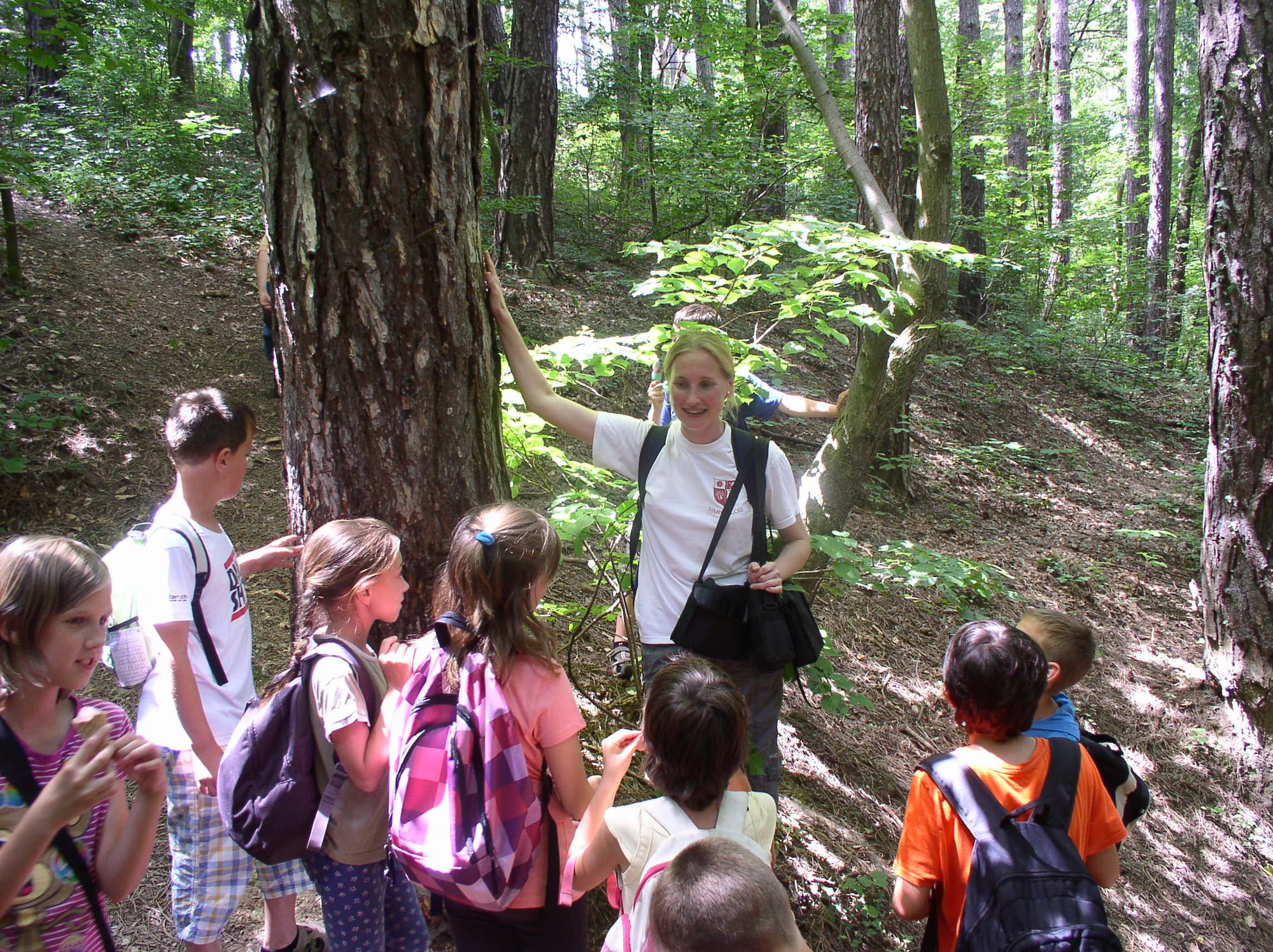 Játékos természetismeret