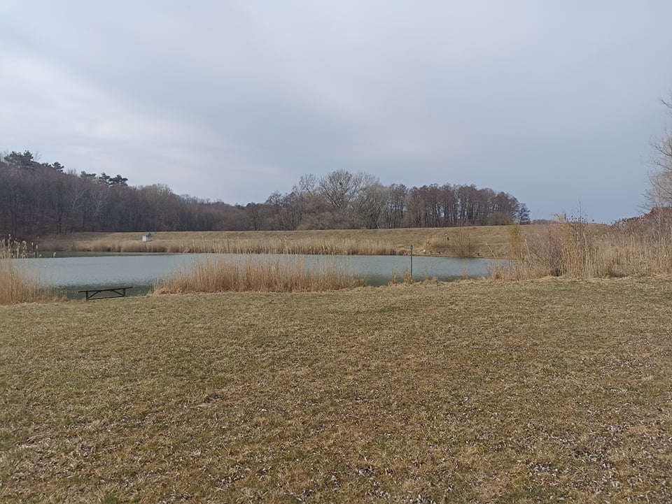 BISEL vízvizsgálat