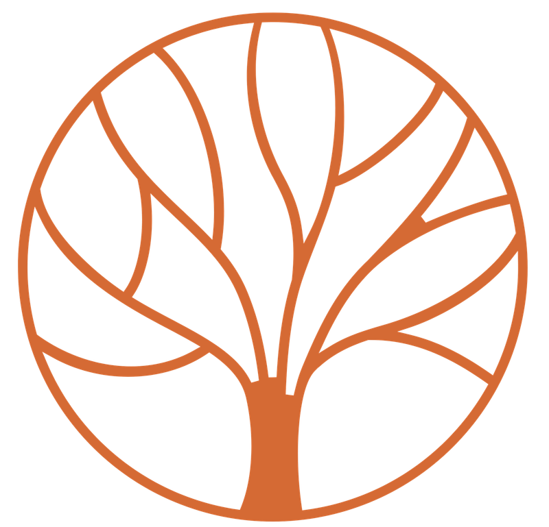 Individual Psychotherapy