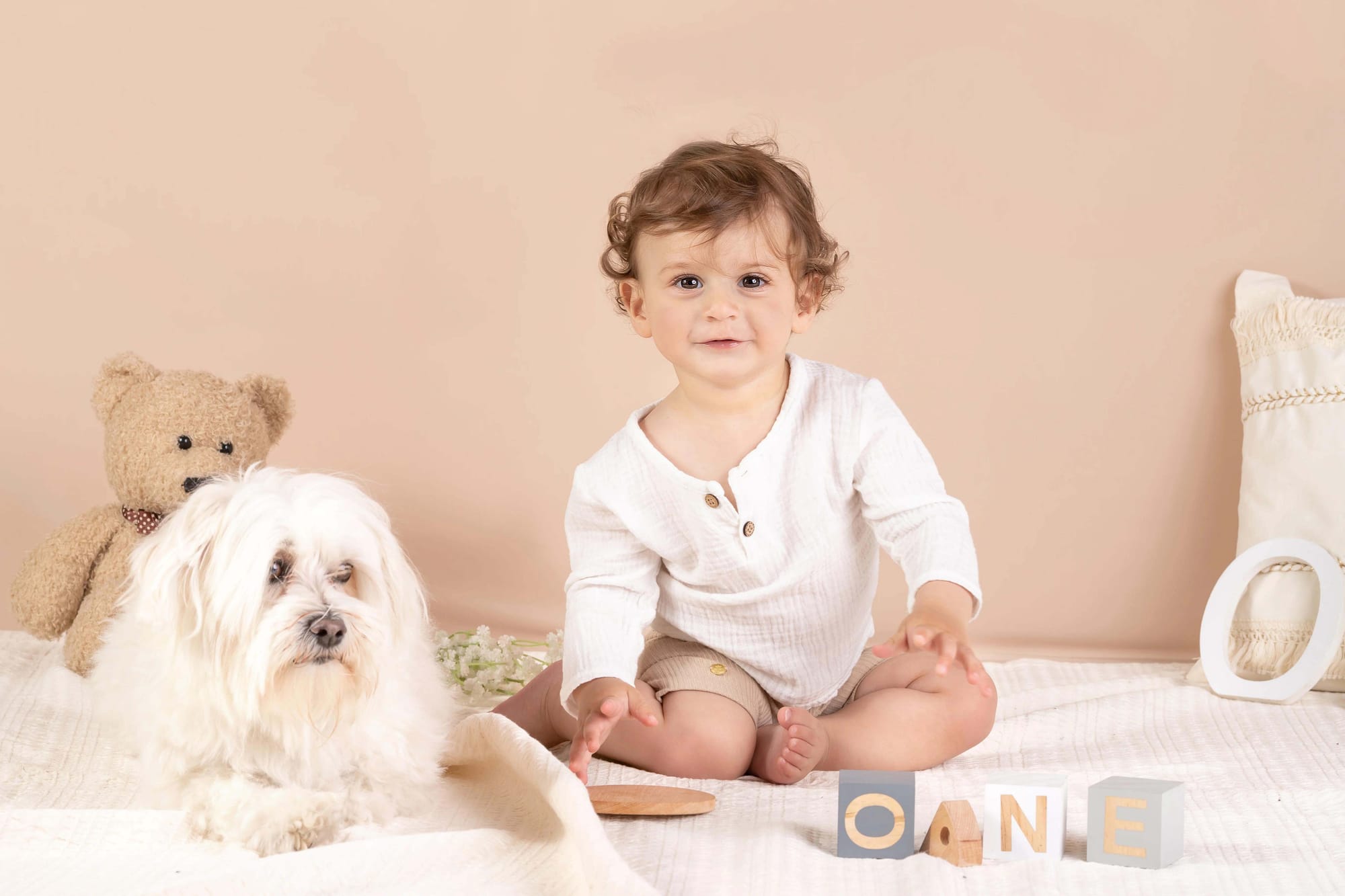 פרטי החבילה