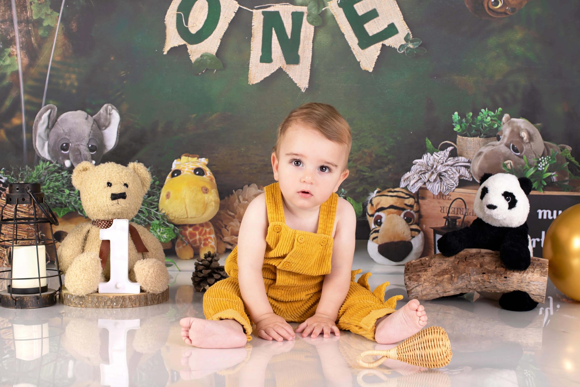 פרטי החבילה