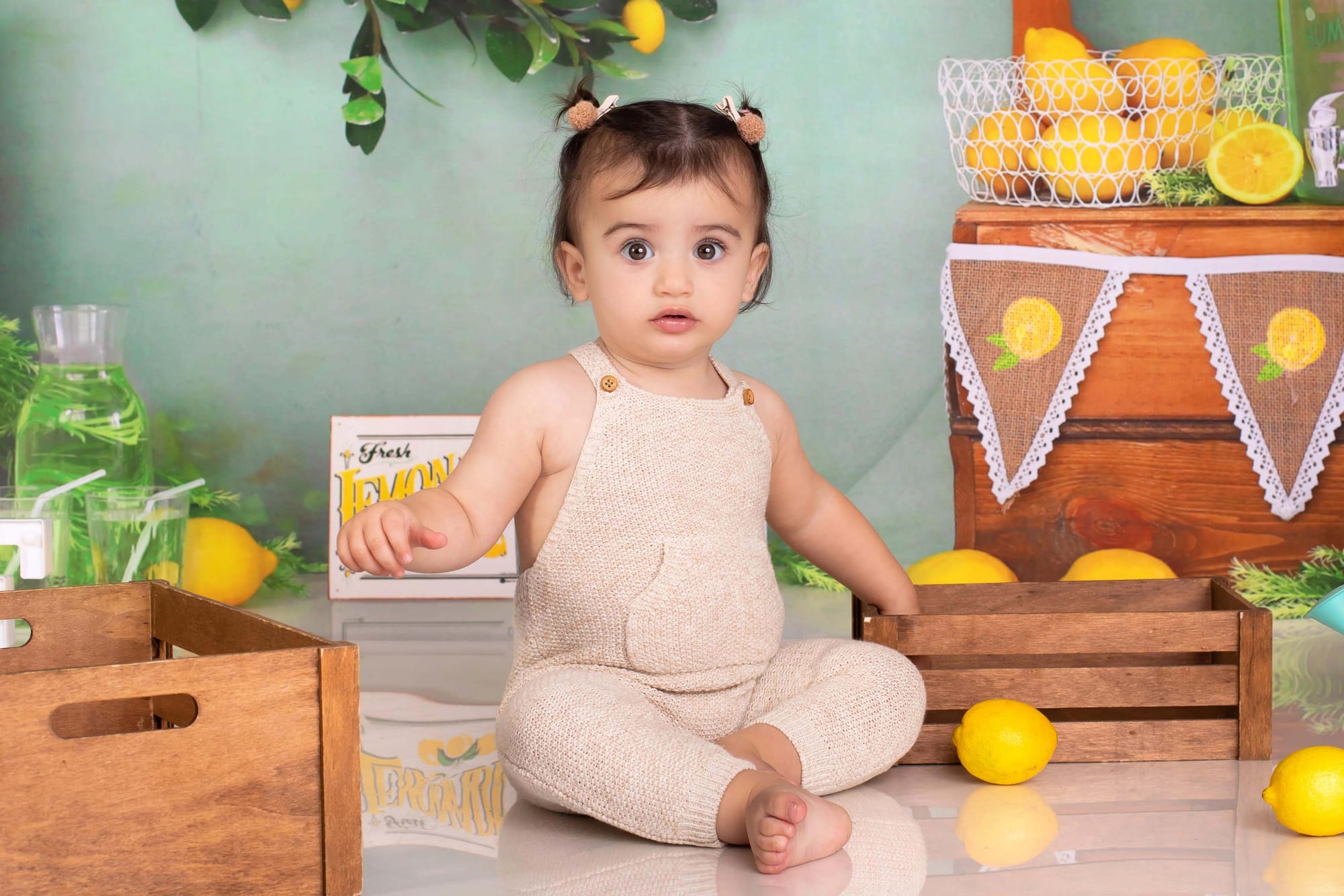 פרטי החבילה