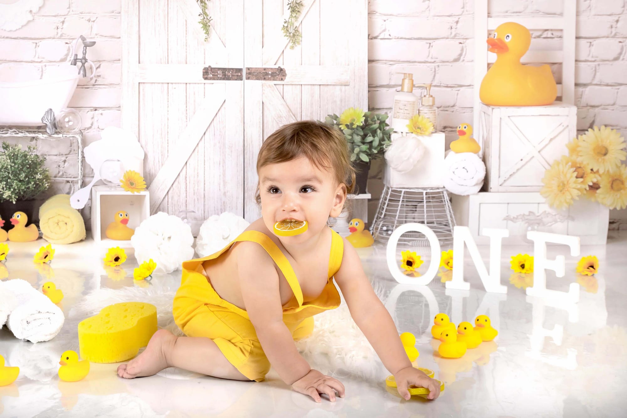 פרטי החבילה