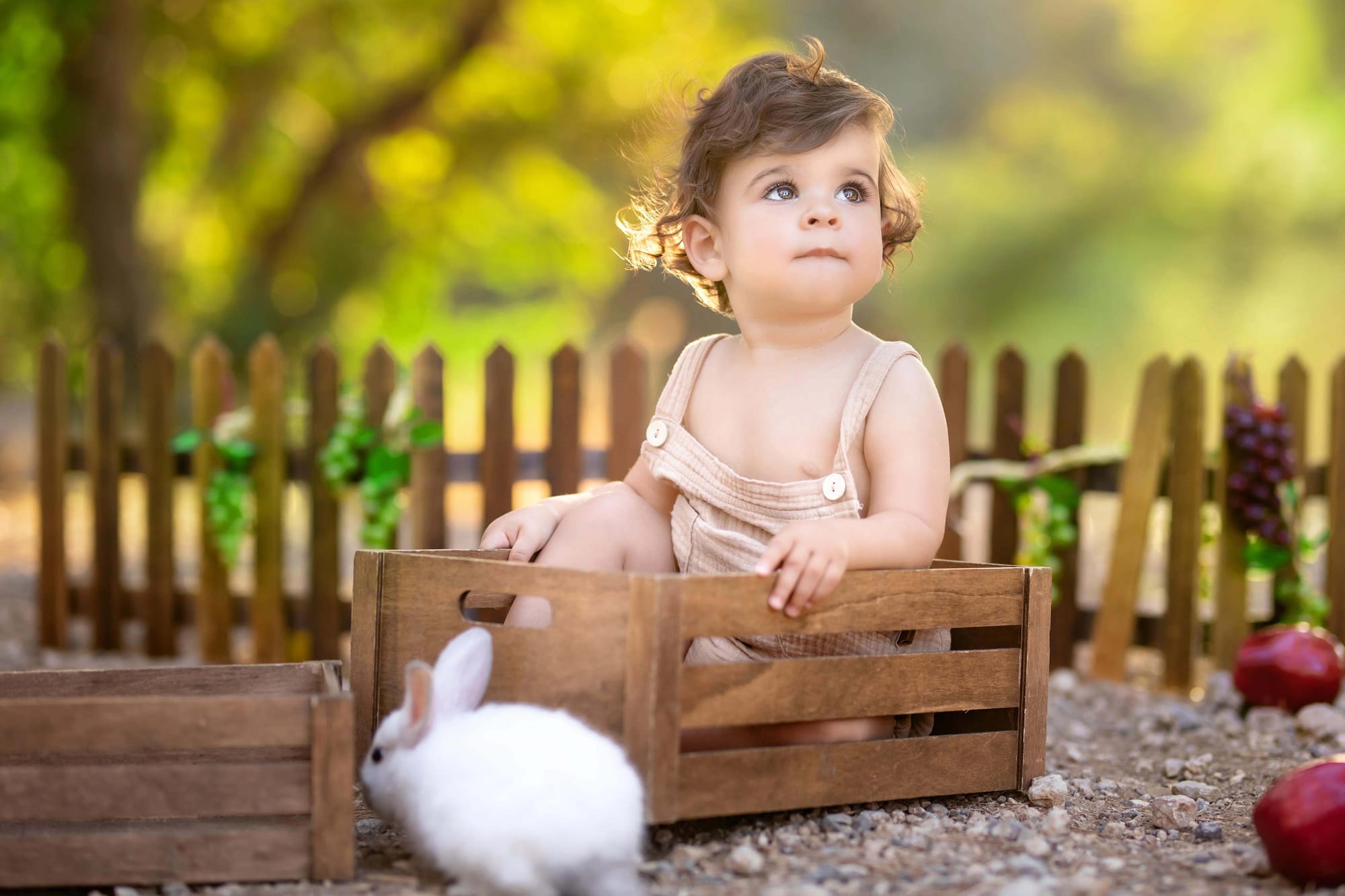 פרטי החבילה