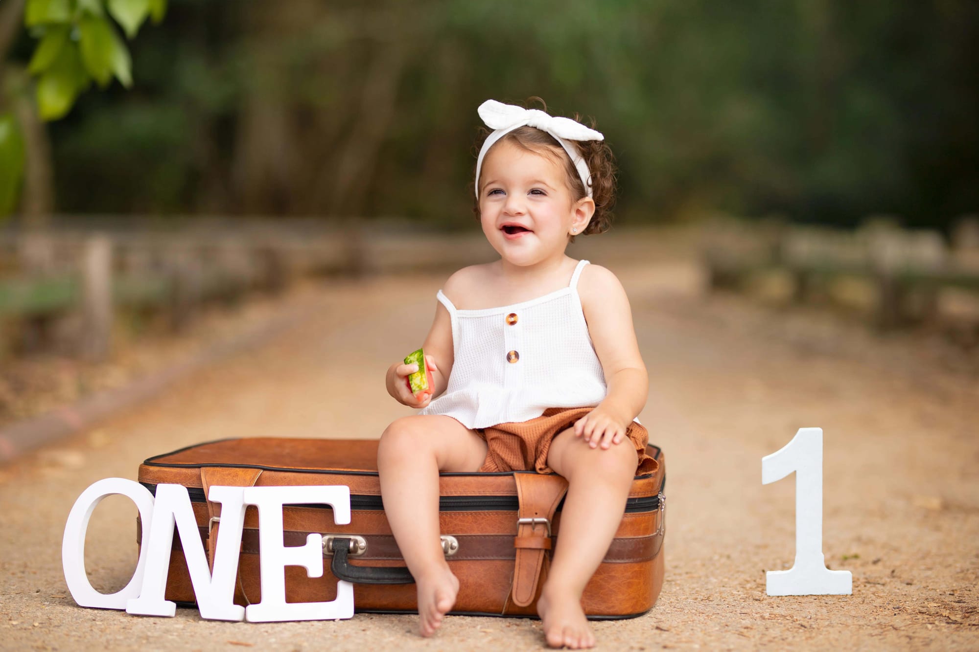 פרטי החבילה